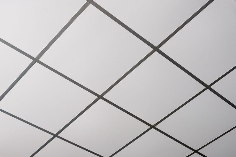 Ceiling Tile Service detail